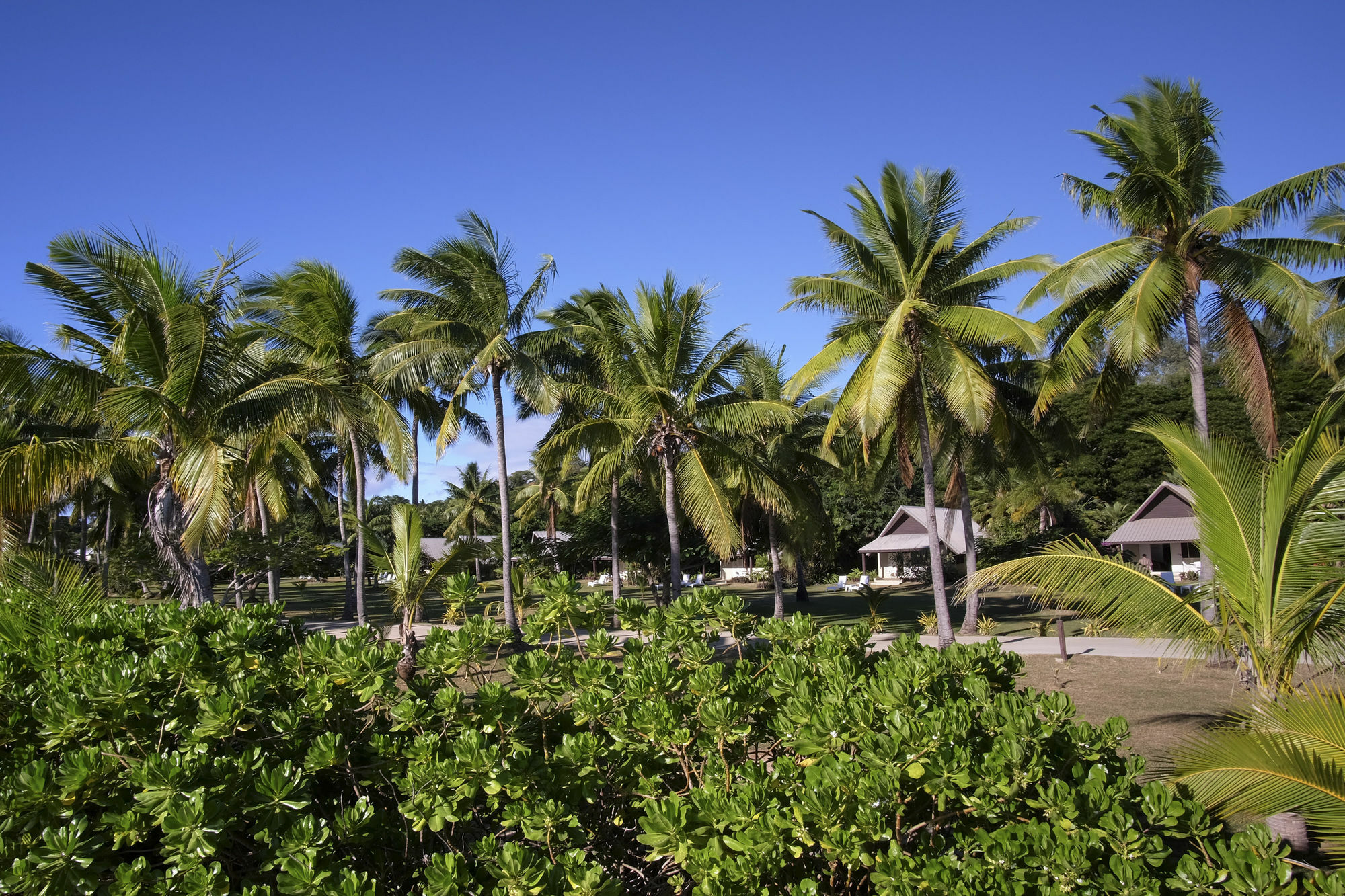Musket Cove Island Resort Malolo Lailai Екстер'єр фото